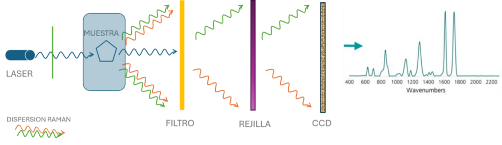 Principio básico de la espectroscopía Raman. Fuente: creación propia
